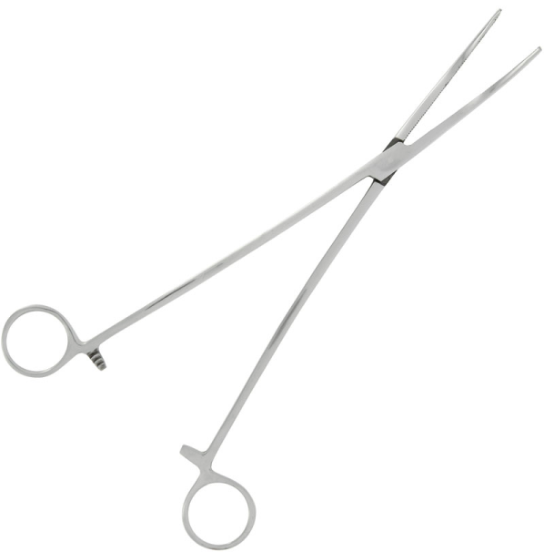 10 inch Steel Forceps