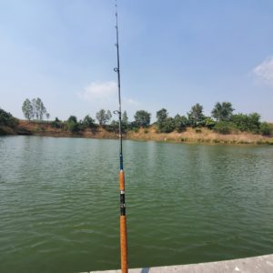Carp & Catfish – Fishing Supplies Thailand – Fishing Tackle Store